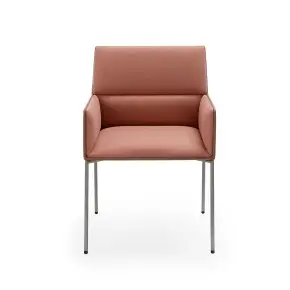 Brix Armchair By Viccarbe